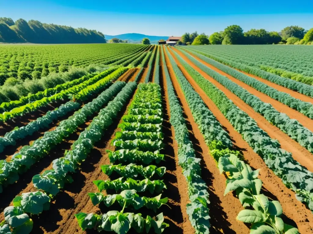 Campo orgánico exuberante con estrategias de biodiversidad y agricultura orgánica, cultivos variados bajo cielo azul y fauna activa