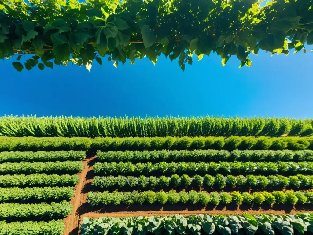 Un campo verde exuberante y vibrante bajo un cielo azul, cultivos orgánicos en filas, biodiversidad y agricultura sostenible