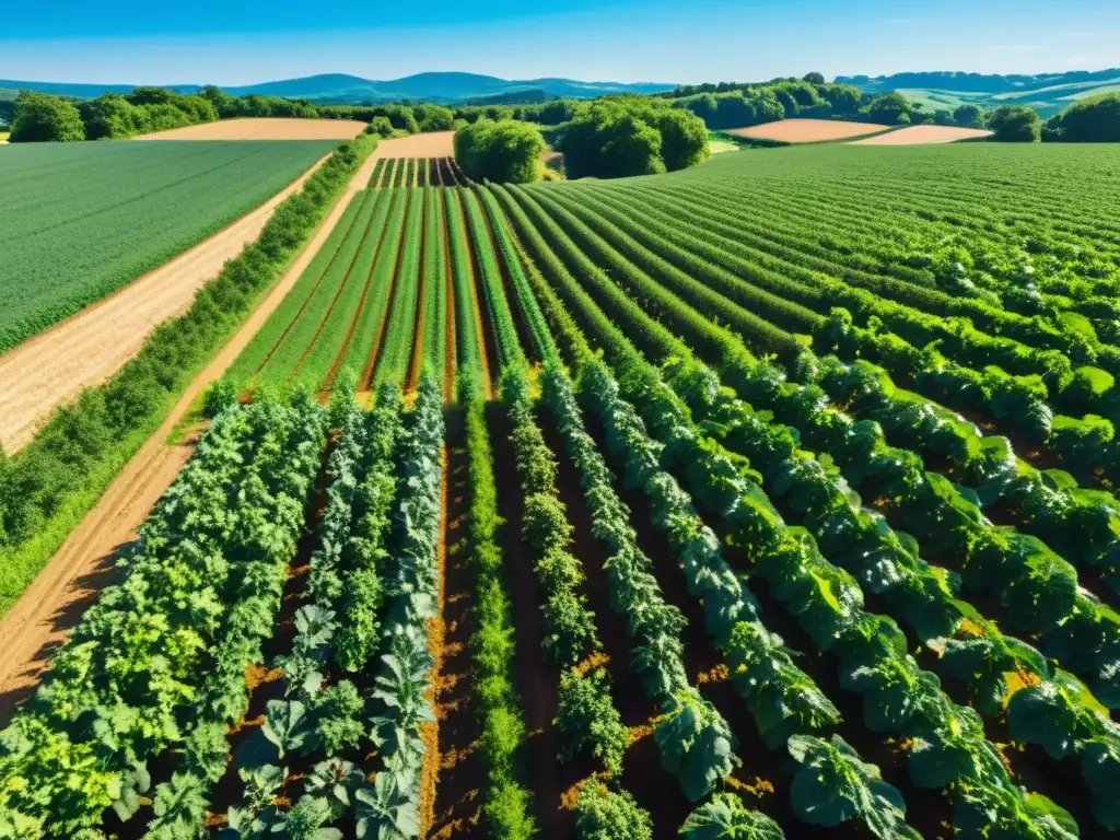 Un paisaje de granja orgánica con cultivos diversos bajo el sol, con abejas y mariposas revoloteando