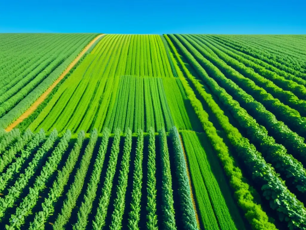 Un paisaje agrícola orgánico en armonía con la naturaleza, donde los cultivos se integran en un entorno tranquilo y próspero