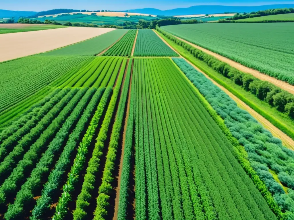 Vista panorámica de una granja orgánica bañada por el sol, con cultivos verdes y métodos de riego ecológico, en armonía con la naturaleza